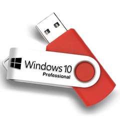 Recovery  USB for Windows 10 Professional Reinstall