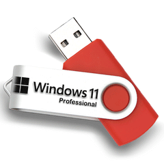 Recovery USB for Windows 11 Professional Reinstall